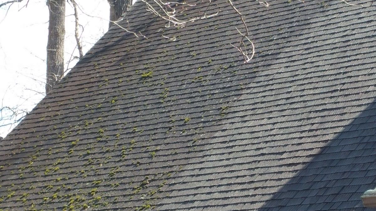 Roofs